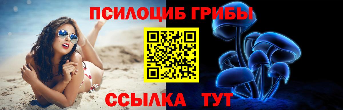 Подольск  Галлюциногенные грибы мицелий  Вход с VPN 